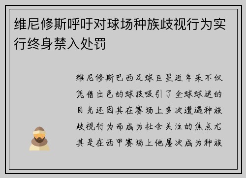 维尼修斯呼吁对球场种族歧视行为实行终身禁入处罚