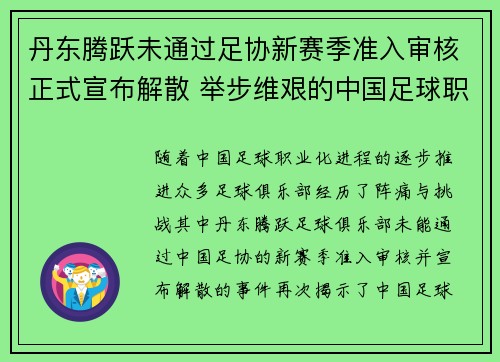 丹东腾跃未通过足协新赛季准入审核正式宣布解散 举步维艰的中国足球职业化困境再现